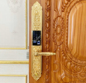 Khóa vân tay đại sảnh HB DS791