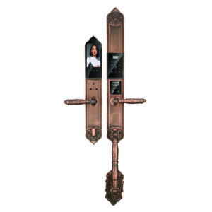 Khóa vân tay đại sảnh HINHWEB HB DS I5F EU FACE ID RED COPPER