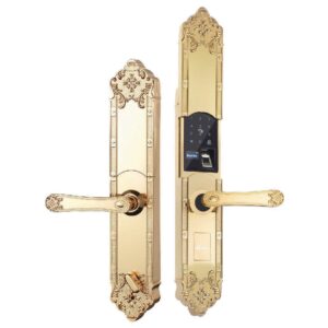 Khóa điện tử đại sảnh DEMAX EL8192