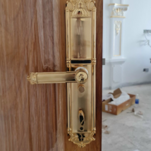 Khóa điện tử đại sảnh DEMAX EL822 Gold