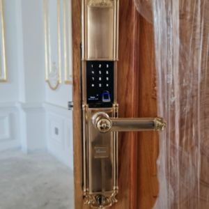 Khóa điện tử đại sảnh DEMAX EL822 Gold