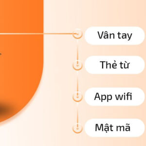 Khóa điện tử đại sảnh DEMAX EL886