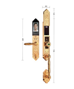 Khóa điện tử đại sảnh DEMAX EL938 Khóa điện tử đại sảnh DEMAX EL938