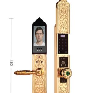 Khóa điện tử đại sảnh DEMAX EL9382