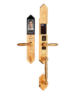 Khóa điện tử đại sảnh DEMAX EL986 Khóa điện tử đại sảnh DEMAX EL986