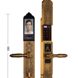 Khóa điện tử đại sảnh DEMAX EL9862