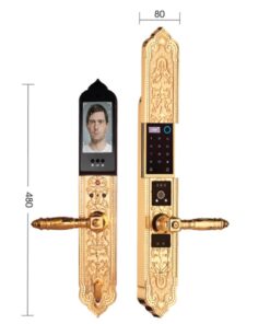 Khóa điện tử đại sảnh DEMAX EL9862