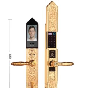 Khóa điện tử đại sảnh DEMAX EL9862