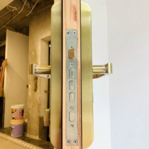 Khoa dien tu cua go GIOVANI GSL 118C87GG hai mat khoa