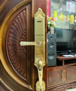 Khoa dien tu cua go GIOVANI GSL A165