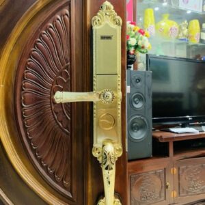 Khoa dien tu cua go GIOVANI GSL A165