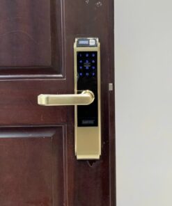 Khoa dien tu cua go GIOVANI GSL C138FG 1