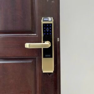 Khoa dien tu cua go GIOVANI GSL C138FG 1