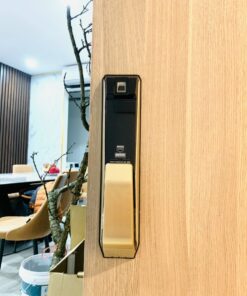 Khoa dien tu cua go GIOVANI GSL K888B 2