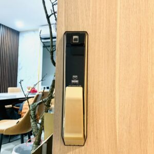 Khoa dien tu cua go GIOVANI GSL K888B 2