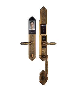 Khóa điện tử đại sảnh DEMAX EL986