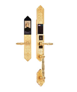 Khóa điện tử đại sảnh DEMAX EL988