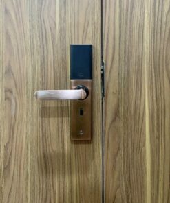 Khóa điện tử cửa gỗ GIOVANI GSL-K591 khoa dien tu cua go giovani gsl k591c 1