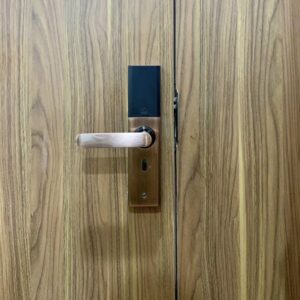 khoa dien tu cua go giovani gsl k591c 1