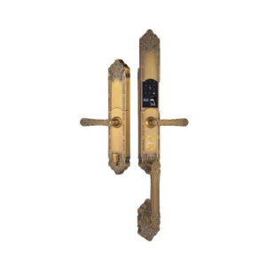 Khóa điện tử đại sảnh DEMAX EL819