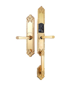 Khóa điện tử đại sảnh DEMAX EL819