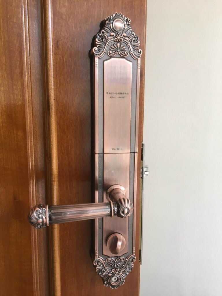 449116770 944515177685542 7969945936376182465 n