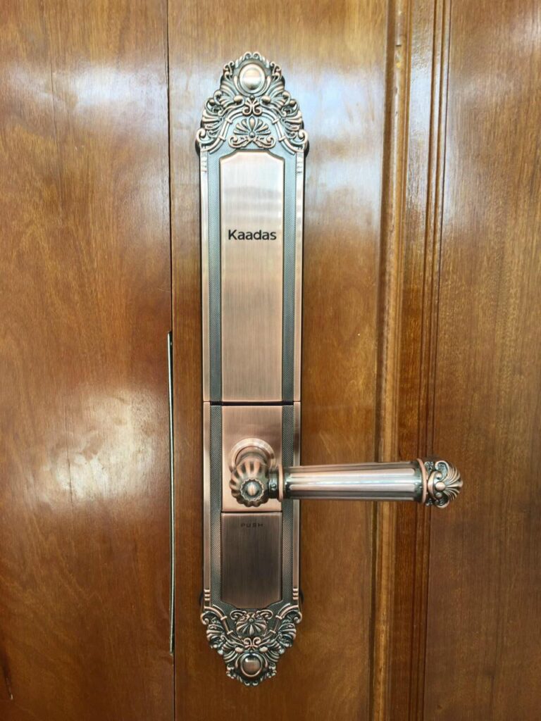 449167166 944515231018870 3933754662315165842 n