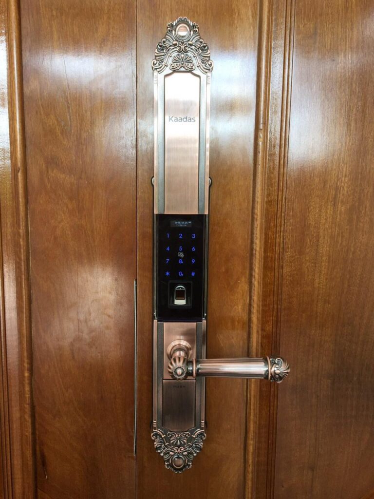 449305542 944515191018874 7687949613495260620 n