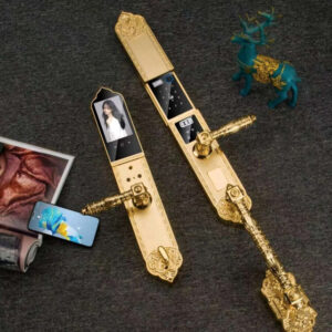 Khóa cửa vân tay tân cổ điển HYUNDAI HY-SLC8818 Gold