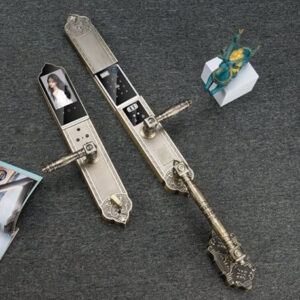 Khóa cửa vân tay tân cổ điển HYUNDAI HY-SLC8818 Bronze