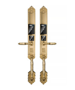 Khóa cửa thông minh biệt thự HYUNDAI HY-SLC8820 Gold