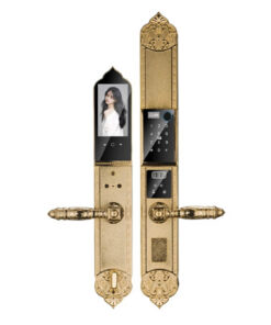 Khóa cửa vân tay đại sảnh HYUNDAI HY-SLC8817 Gold