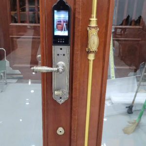 Khóa cửa vân tay tân cổ điển HYUNDAI HY-SLC8818 Bronze