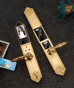 Khóa cửa vân tay đại sảnh HYUNDAI HY-SLC8817 Gold