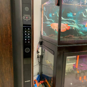 Khóa vân tay cửa nhôm tự động, chống nước Hyundai HY-SLS005F Black Face ID