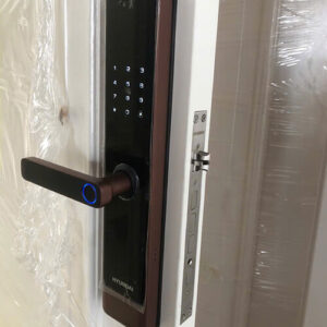 Khóa vân tay cửa gỗ tay gạt Hyundai HY-SL007