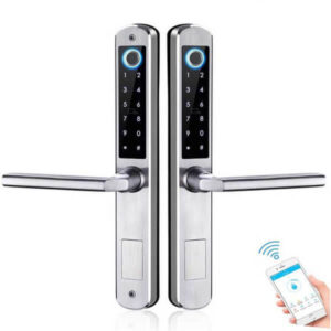 Khóa vân tay 2 mặt XF19