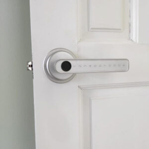 Khoá vân tay LAFFER T09