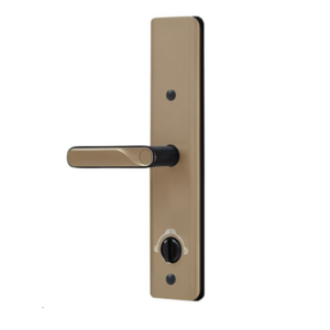 Khóa cửa vân tay Laffer LC08