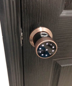 Khóa vân tay Laffer B12