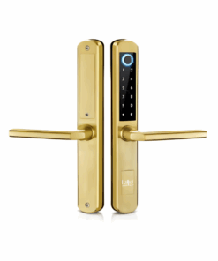 Khoá vân tay LAFFER XF19