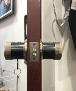 Khóa vân tay Laffer B12