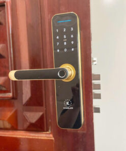 Khóa điện tử cửa gỗ Kassler KL-668 Khóa điện tử cửa gỗ Kassler KL-668 Gold