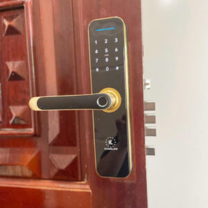 Khóa điện tử cửa gỗ Kassler KL-668 Khóa điện tử cửa gỗ Kassler KL-668 Gold