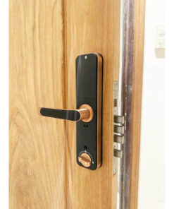 Khóa điện tử cửa gỗ Kassler KL-668 Khóa điện tử cửa gỗ Kassler KL-668 Red Bronze