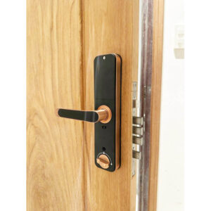 Mua khóa vân tay cửa gỗ công nghiệp ở đâu có lắp đặt tận nơi Khóa điện tử cửa gỗ Kassler KL-668 Red Bronze