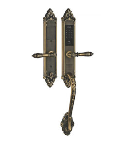 Khóa điện tử đại sảnh Kassler KL-969GR