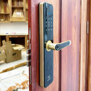 Khóa điện tử cửa gỗ Kassler KL-696 khóa điện tử cửa gỗ Kassler KL-696 Gold