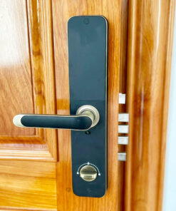 Khóa điện tử cửa gỗ Kassler KL-696 khóa điện tử cửa gỗ Kassler KL-696 Green Bronze