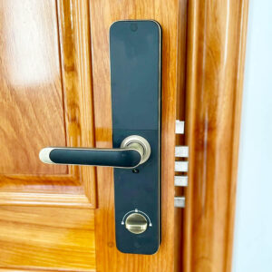 Khóa điện tử cửa gỗ Kassler KL-696 khóa điện tử cửa gỗ Kassler KL-696 Green Bronze